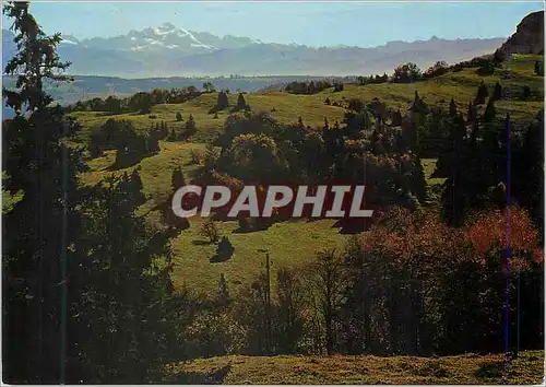 Cartes postales moderne Les Beaux Sites de France (Franche Comte) Le Mont d'Or (Alt 1463 m) et au fond Le Mont Blanc (48