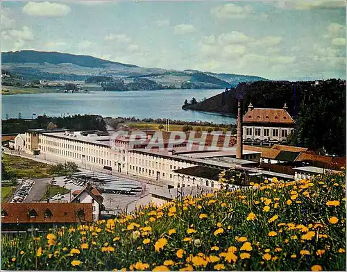 Cartes postales moderne Fabrique de Broc (Frbg) Nestle Cailler Kohler