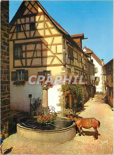 Cartes postales moderne Riquewihr (Haut Rhin) L'Alsace Couleurs et Lumiere de France Fontaine et Maisons Alsaciennes Che