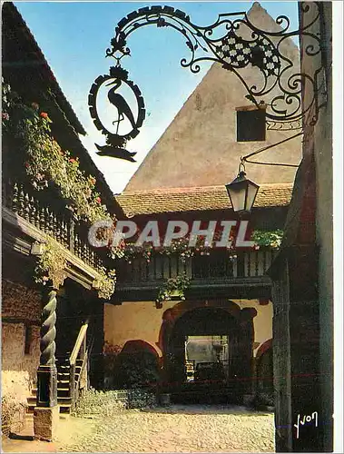 Cartes postales moderne Riquewihr (Haut Rhin) L'Alsace Couleurs et Lumiere de France Cour des Cigognes
