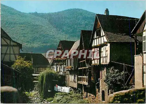 Cartes postales moderne Kaysersberg Fosse des Tanneurs