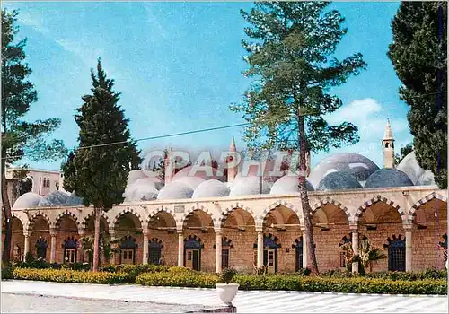 Cartes postales moderne Damas La Cour de la Mosquee Sultan Selim