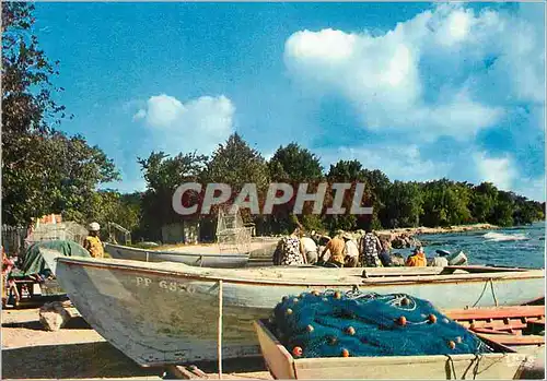Cartes postales moderne Guadeloupe Port de Peche a St Louis Bateau