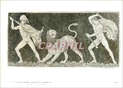 Cartes postales moderne Lion