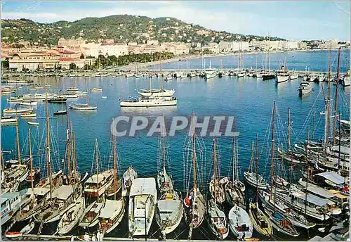 Cartes postales moderne Cannes un Coin du Port dans le Fond la Promenade de la Croisette Bateaux