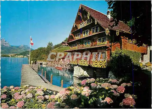 Cartes postales moderne Treib am Vierwaldstattersee Hist Treibhaus mit Brunnen und Mythen