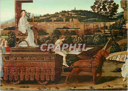 Cartes postales moderne Torino Galleria Sabauda Cosimo Rosselli Firenze