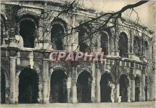 Cartes postales moderne Nimes (Gard) Les arenes Romaines