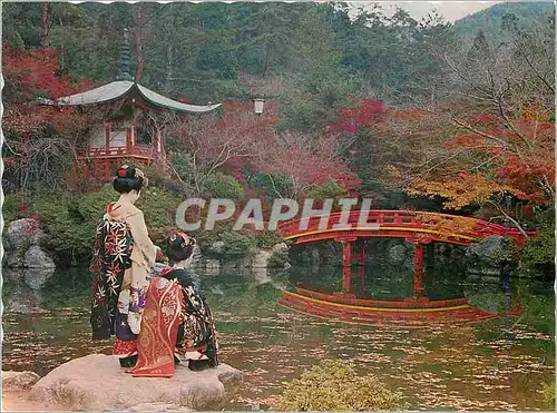 Moderne Karte Maiko The Junior Geisha Girl in Kyoto