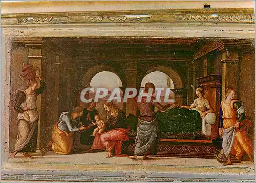 Cartes postales moderne Urbino Raffaello Sonzio Nativite de la Vierge