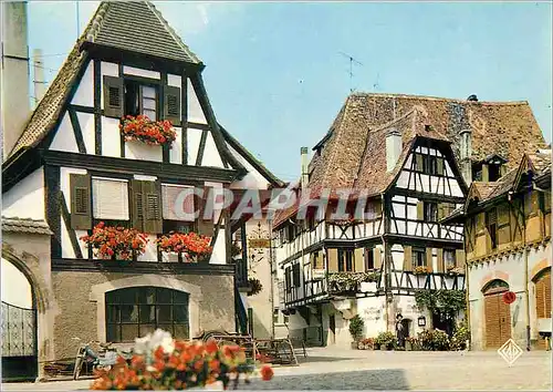 Cartes postales moderne L'Alsace Pittoresque