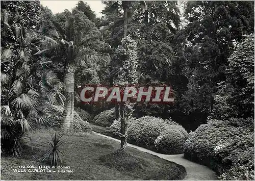 Cartes postales moderne (Lago di Como) Villa Carlotta Giardino