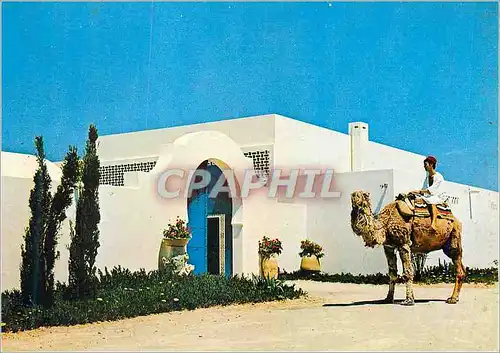 Moderne Karte Tunisie Chameau