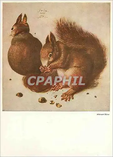 Cartes postales moderne Ecureuil