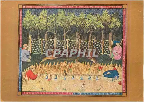 Cartes postales moderne Les Chasses a Chantilly Capture des Lievres