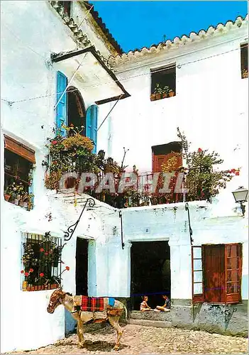 Cartes postales moderne Costa del Sol Marbella Rincon tipico Virgen de los Dolores Ane Donkey