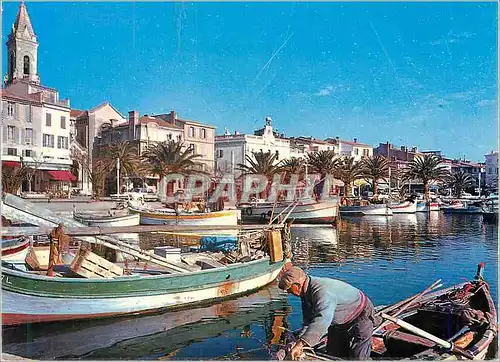 Cartes postales moderne Sanary sur Mer Lumiere et Beaute de la Cote d'Azur Le Quai des Pecheurs Bateaux de peche