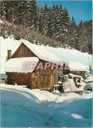 Cartes postales moderne Winter im Schwarzwald Drei Stegenmuhle