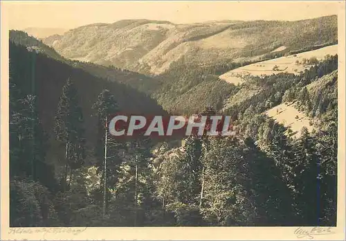 Cartes postales moderne Blick auf Triberg