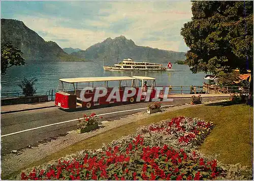 Cartes postales moderne Lido Bus Kurort Weggis mit Pilatus Bateau