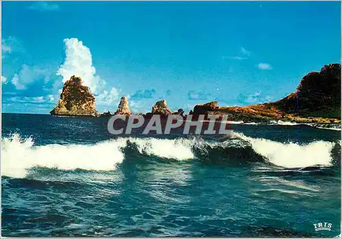 Cartes postales moderne Guadeloupe La Pointe des Chateaux
