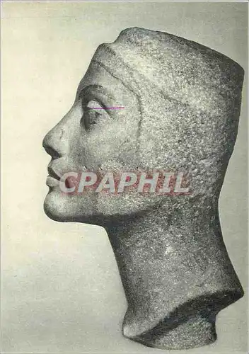 Cartes postales moderne Sculpture Egyptienne Musee du Caire Profil d'une tete inachevee de Neferliti