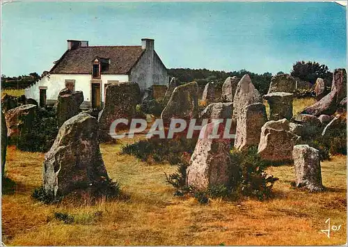 Cartes postales moderne Les Alignements d'Erdeven La Bretagne dans la Region de Carnac