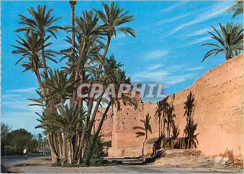 Cartes postales moderne Marrakech Le Maroc Pittoresque Le Long des Remparts
