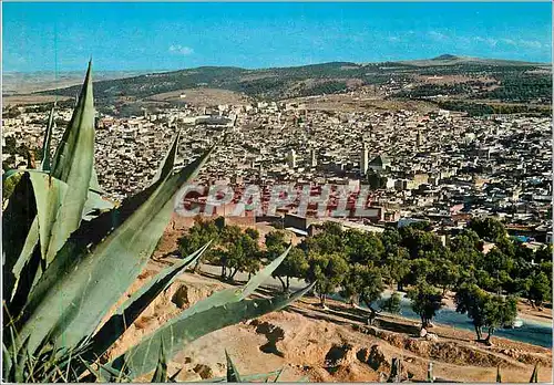 Cartes postales moderne Fes Vue Generale