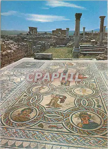 Moderne Karte Volubilis Les 4 Saisons Mosaique de la Maison d'Orphee