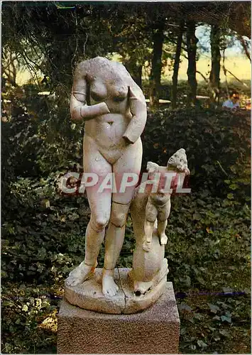 Cartes postales moderne Volubilis La Venus au Dauphin Fontaine