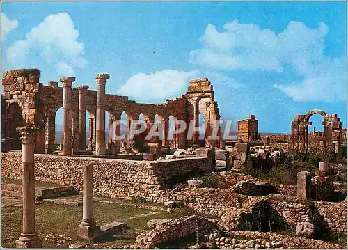 Cartes postales moderne Volubilis Vue de la Face Interne de la Basilique Civile