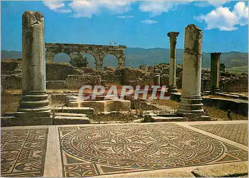Moderne Karte Volubilis Traveaux d'Hercule Ruines Romaines