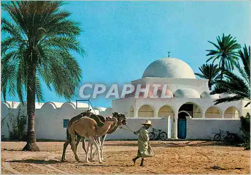 Cartes postales moderne Djerba La Mosaique de Mahboubine