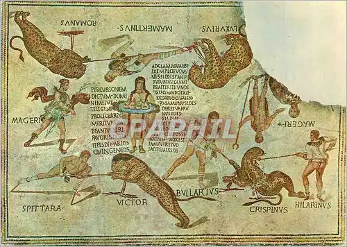 Cartes postales moderne Tunisie de Toujours Les Jeux de l'Amphitheatre (Musee de Sousse)