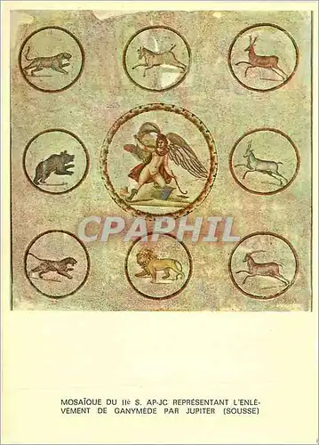 Cartes postales moderne Tunisie de Toujours L'Enlevement de Ganymede (Musee de Sousse) Mosaique du IIe S Ap J C