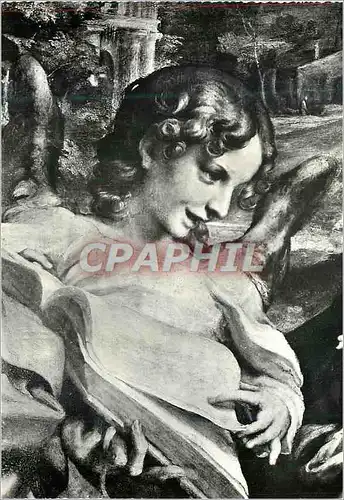 Cartes postales moderne Parma Galleria Nazionale Correge Madone du St Jerome (detail)