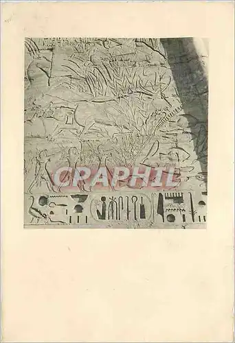 Cartes postales moderne Egypte