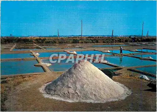 Cartes postales moderne Cote Atlantique les Marais Salants