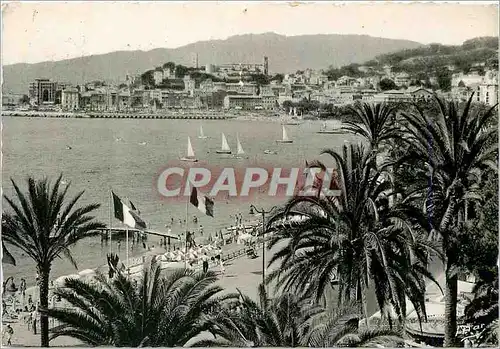 Cartes postales moderne Cannes un Coin de la Plage et le Suquet la Cote d'Azur