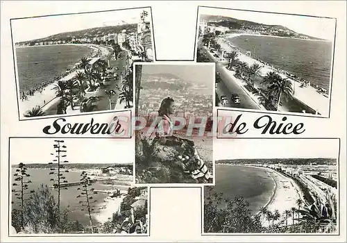 Cartes postales moderne Souvenir de Nice