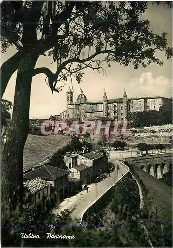 Cartes postales moderne Urbino Panorama
