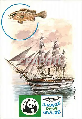 Cartes postales moderne Il Mare Deve Vivere Nave Scuola A Vespucci Bateau Voilier Poisson