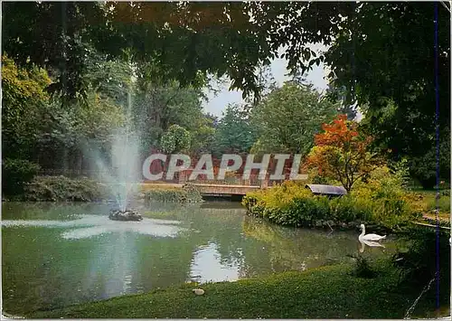 Cartes postales moderne Vichy (Allier) Un Coin du Parc
