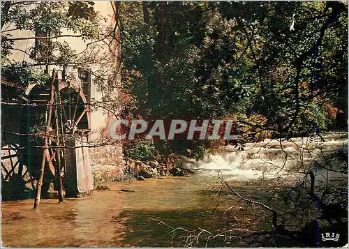Cartes postales moderne Le Jura Pittoresque Vieux Moulin au bord de la Riviere