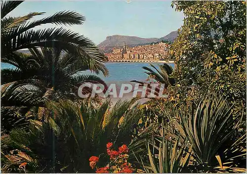 Cartes postales moderne Menton (A M) Cote d'Azur Vue Generale