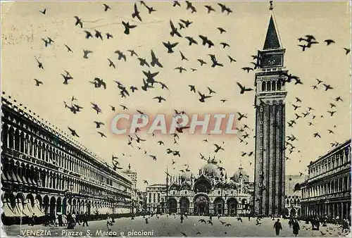 Cartes postales moderne Venezia Piazza S Marco e Piccioni
