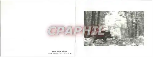 Moderne Karte Sanglier Chasse