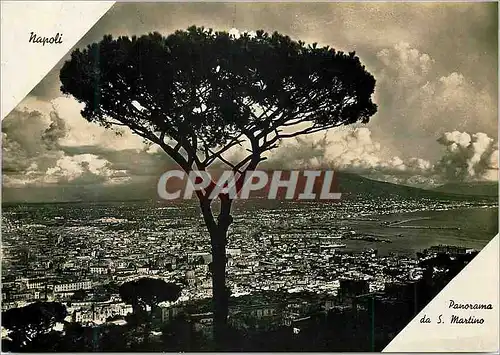Cartes postales moderne Napoli Panorama da S Martino