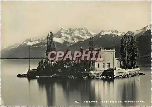 Moderne Karte Lac Leman Ile de Salagnon et les Dents du Midi